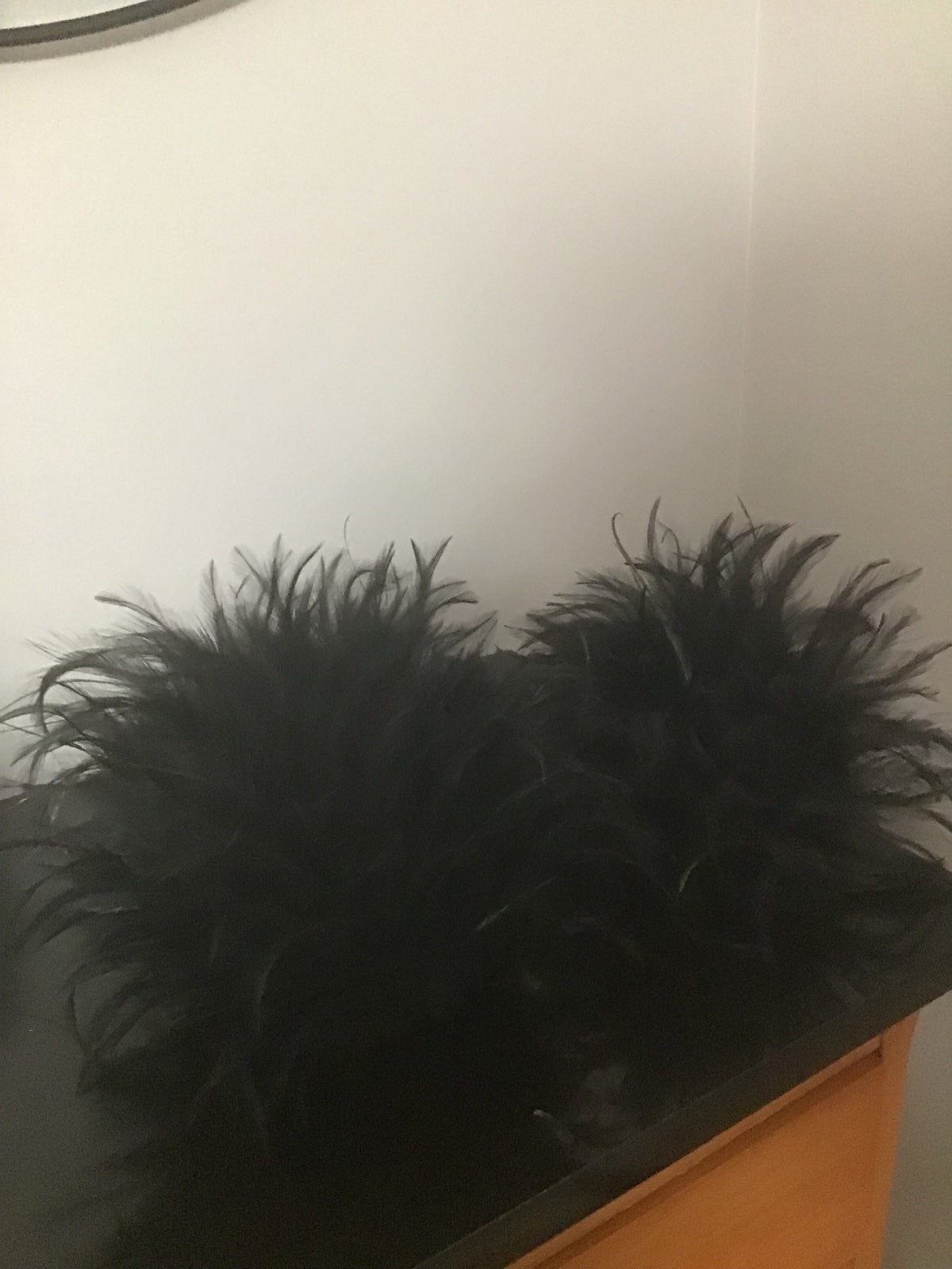 BLACK FEATHER BALL’S