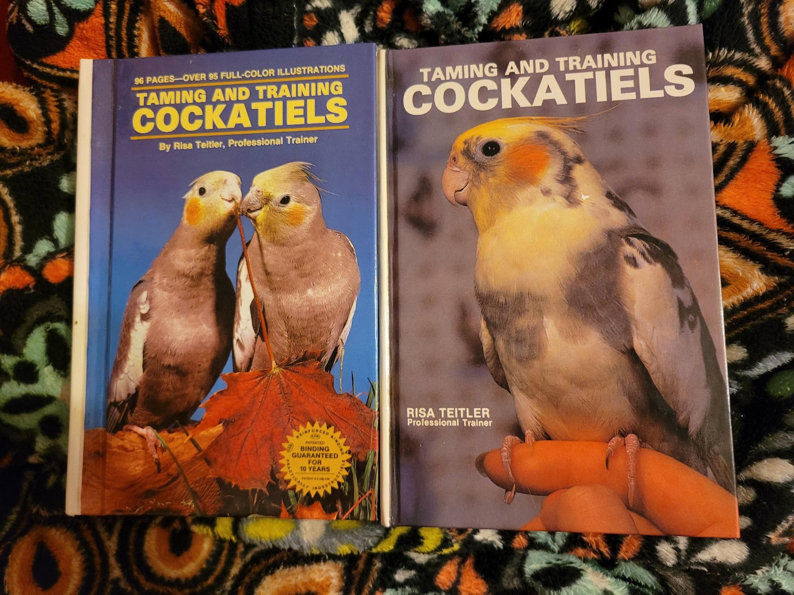 Taming and Training Cockatiels