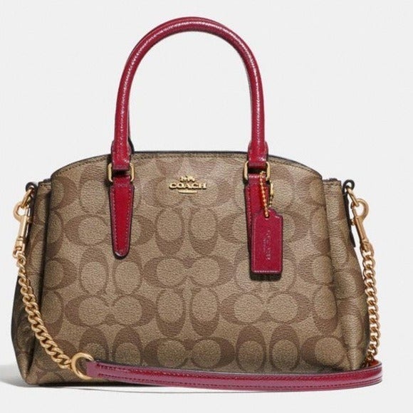 Authentic BRAND NEW COACH Mini Carryall