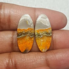 BumbleBee Jasper Natural Gemstone Cab