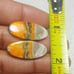 BumbleBee Jasper Natural Gemstone Cab