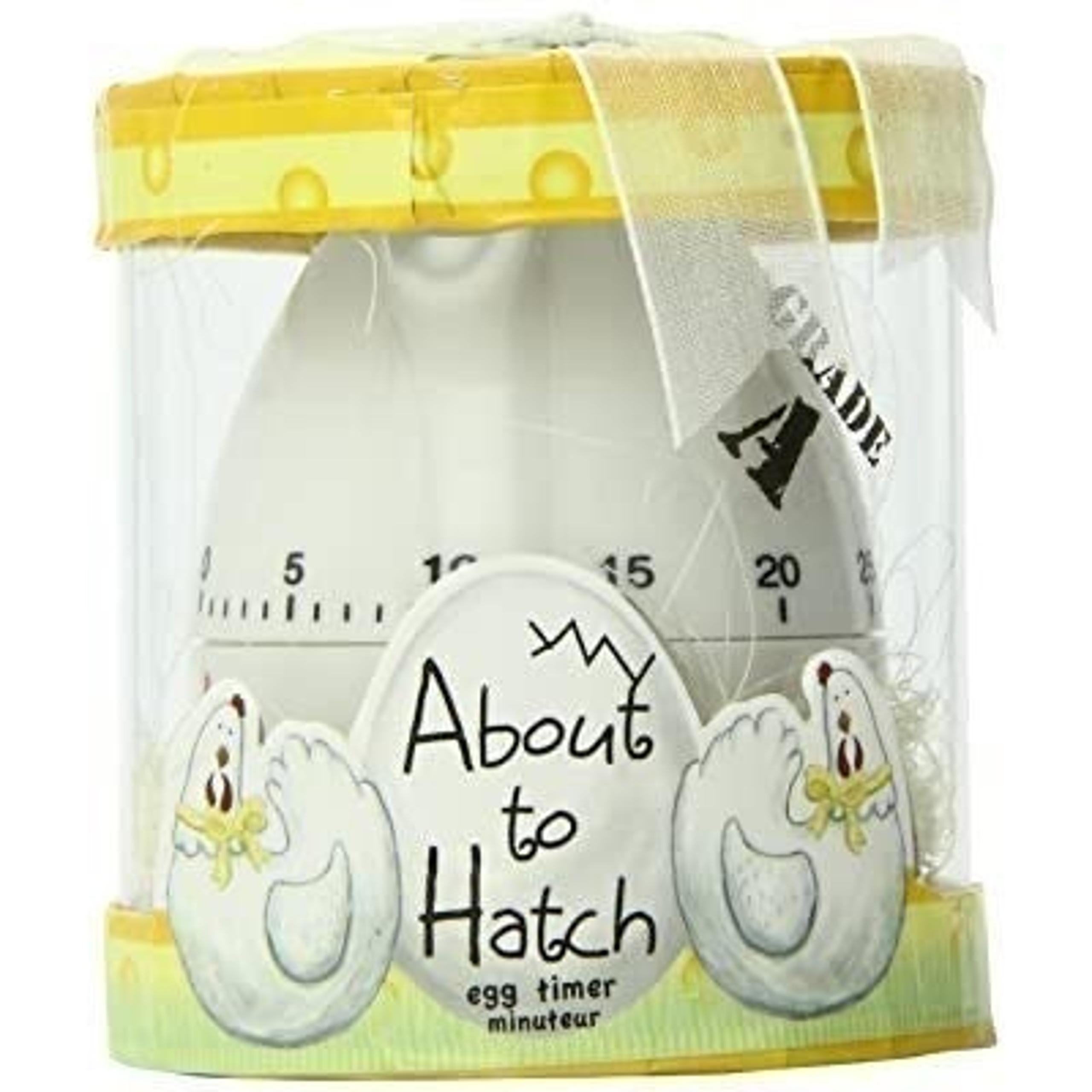 Kate Aspen "About to Hatch" Egg Timer