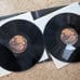 The Lord of the Rings 2LP Record set