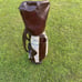 Vintage Gemini Golf Bag Made In U.S.A. Maroon Leather And Navajo Print 1995