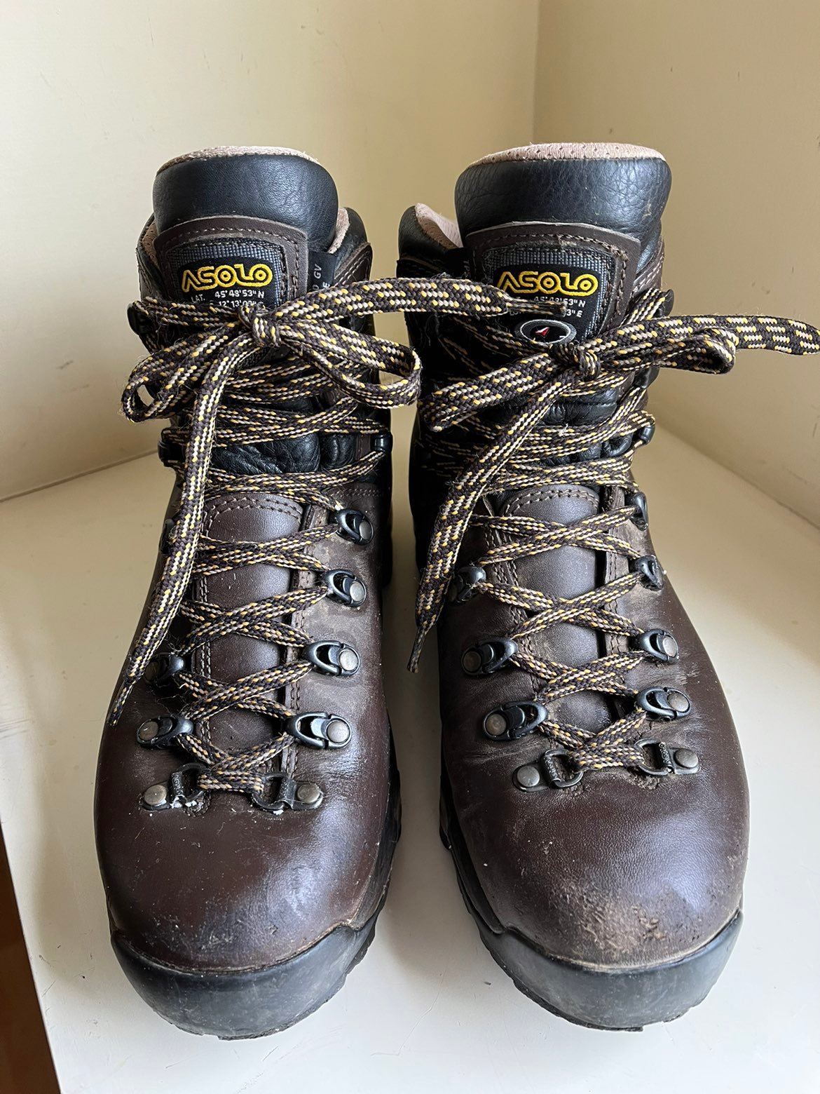 Asolo TPS 520 GV EVO Mid Boots