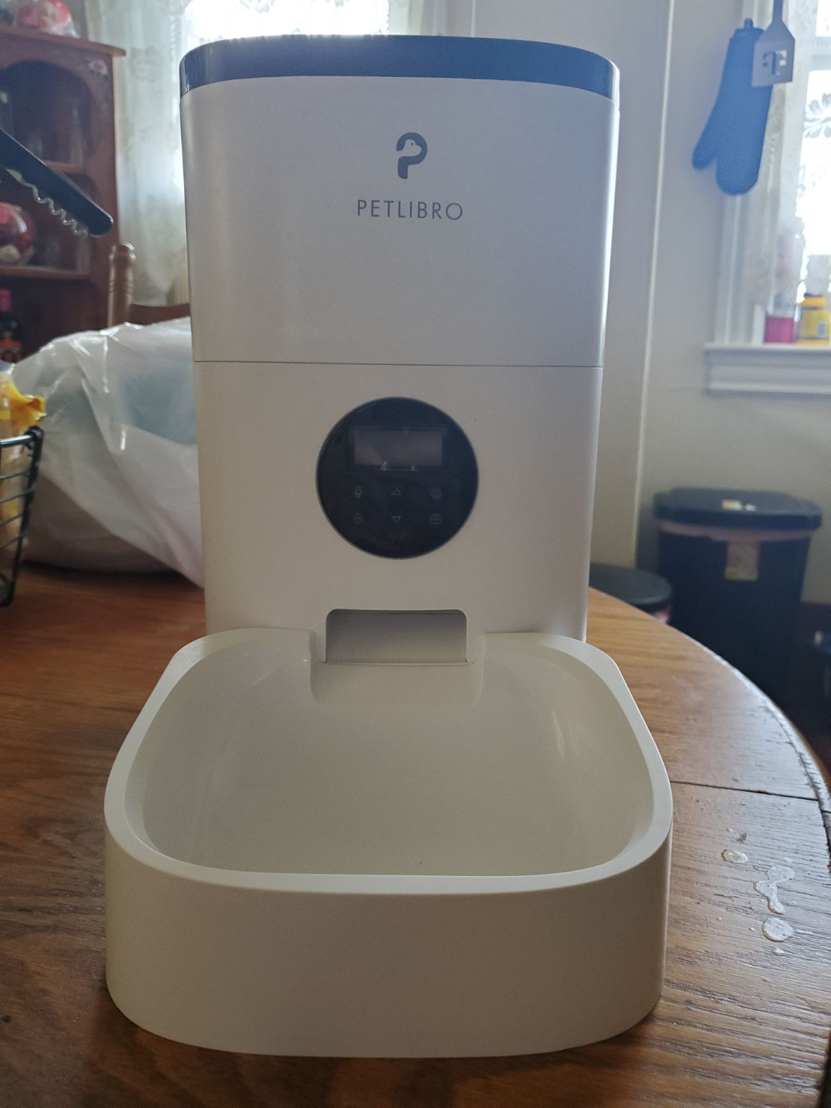 Automatic cat feeder