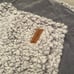 Last one Ugg bedding