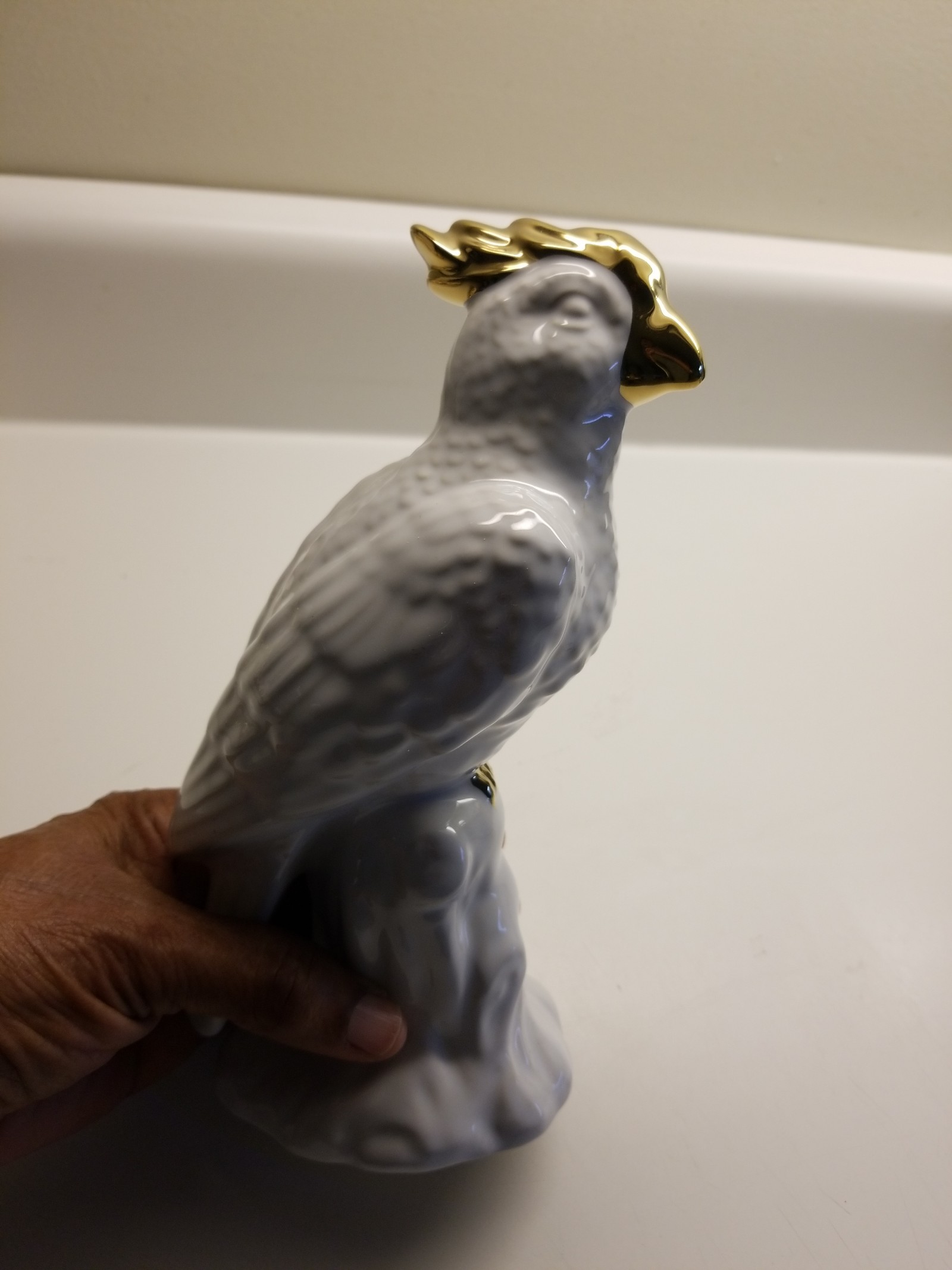 CERTIFIED INTERNATIONAL COCKATOO