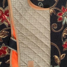 Coach dog vest