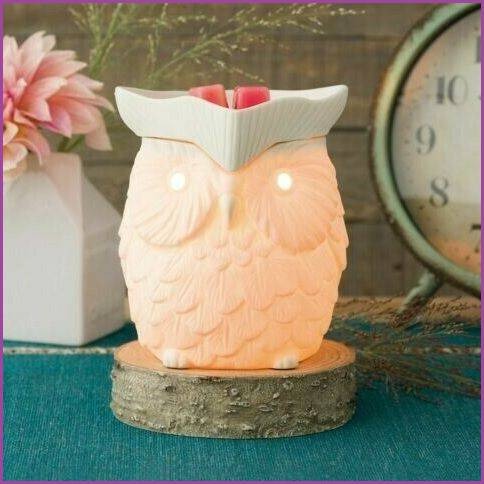 Scentsy wax warmer - whoot