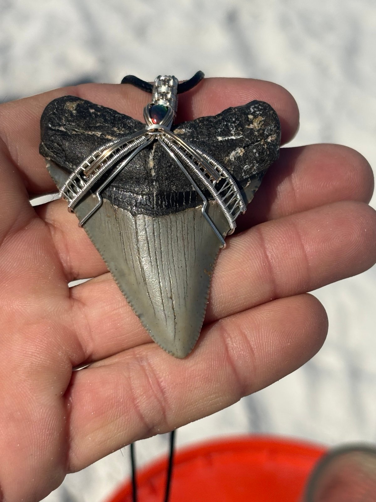 Megalodon and opal pendant