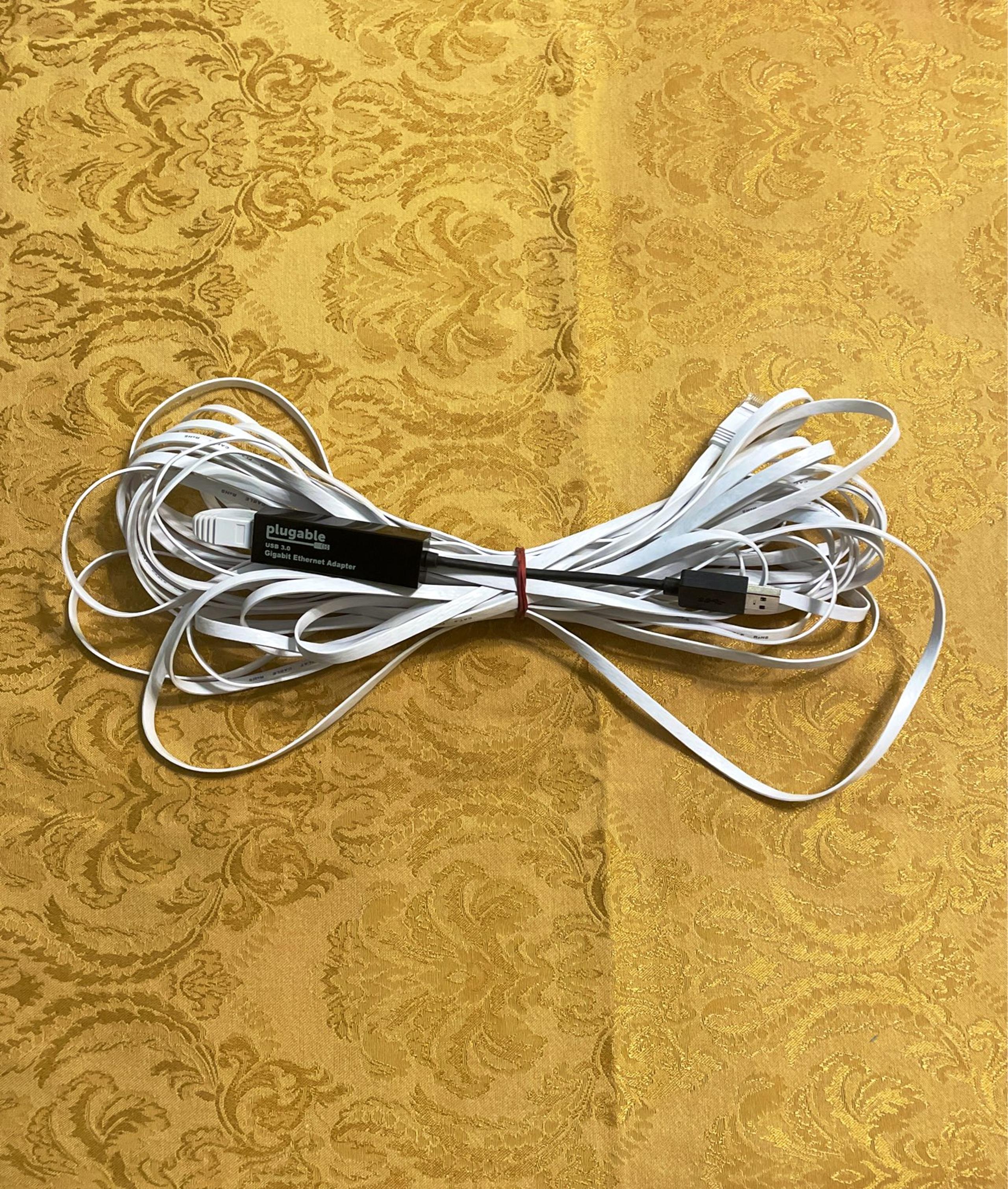 Cat 6 Ethernet cable and Usb adapter