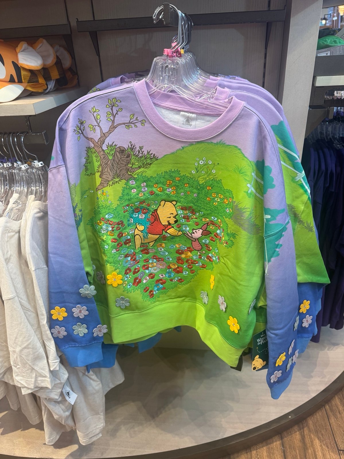 Disney Parks 2025 WDW Winnie The Pooh & Friends Pull Over Size Large New