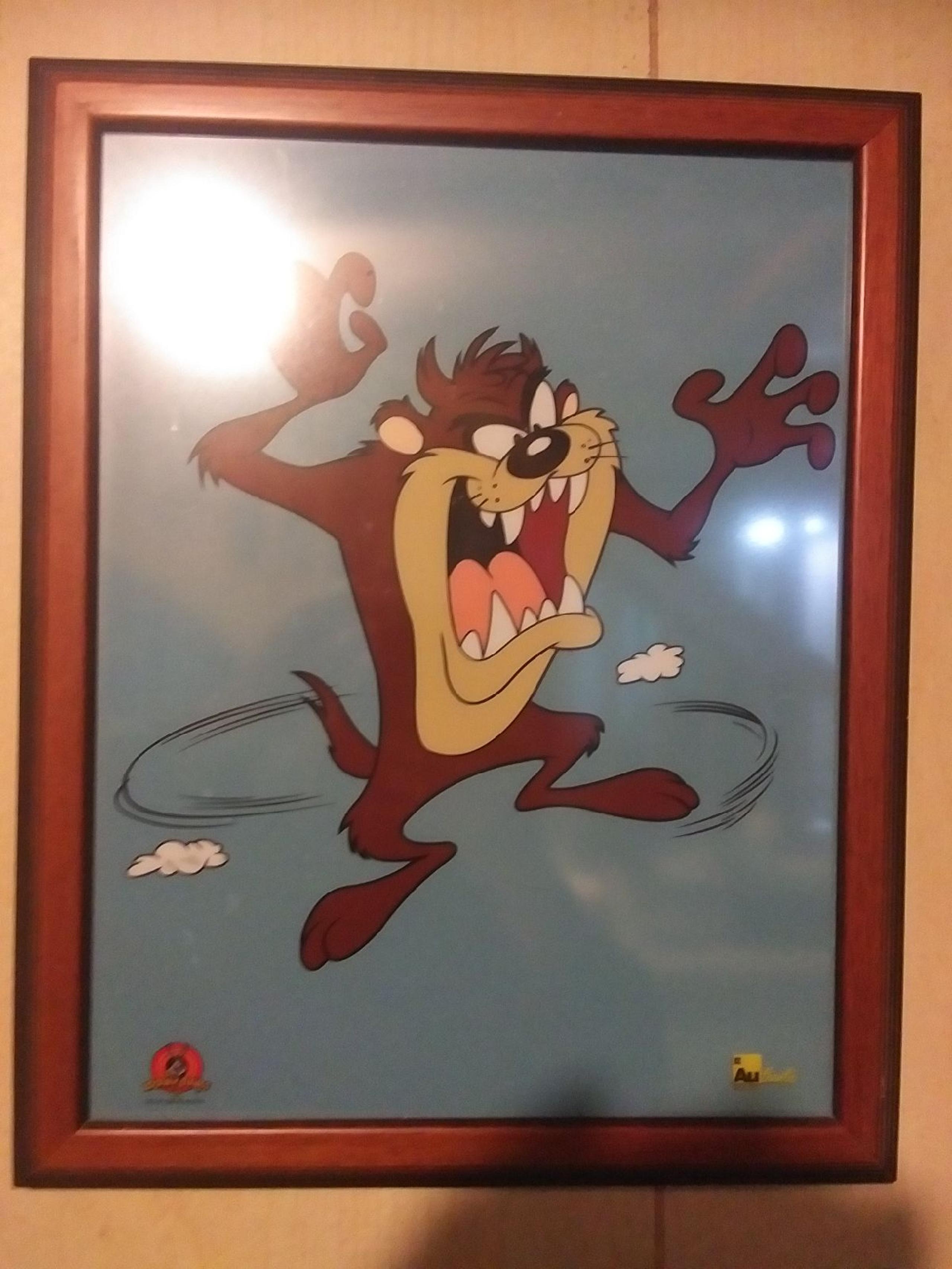 Taz