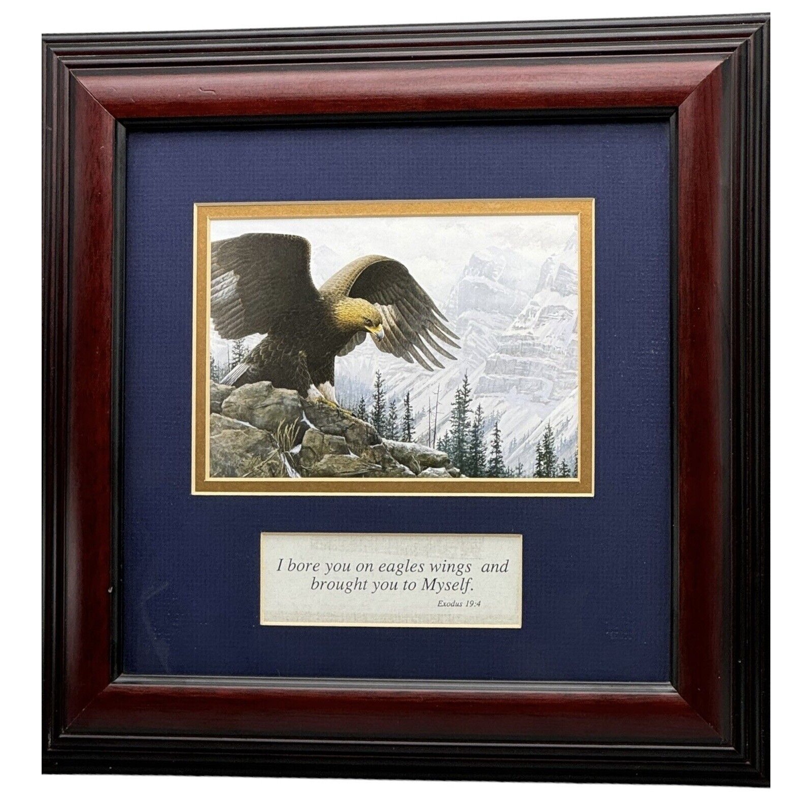 Framed Art Bible Verse Wall Hanging Matted Exodus 19:4 Eagle's Wings 13 Faith