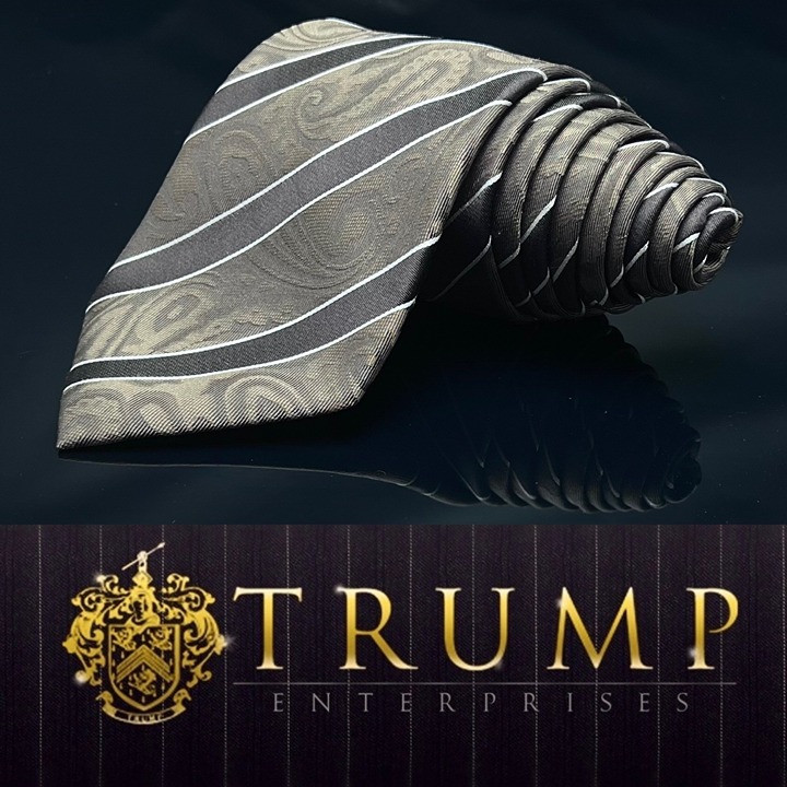 DONALD J. TRUMP MEN'S TIE BROWN/STRIPED WIDTH: 3.7/8 LENGTH: 58.5”