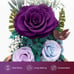 Valentine's Day Roses Gifts for Her, Preserved Flowers Bouquet