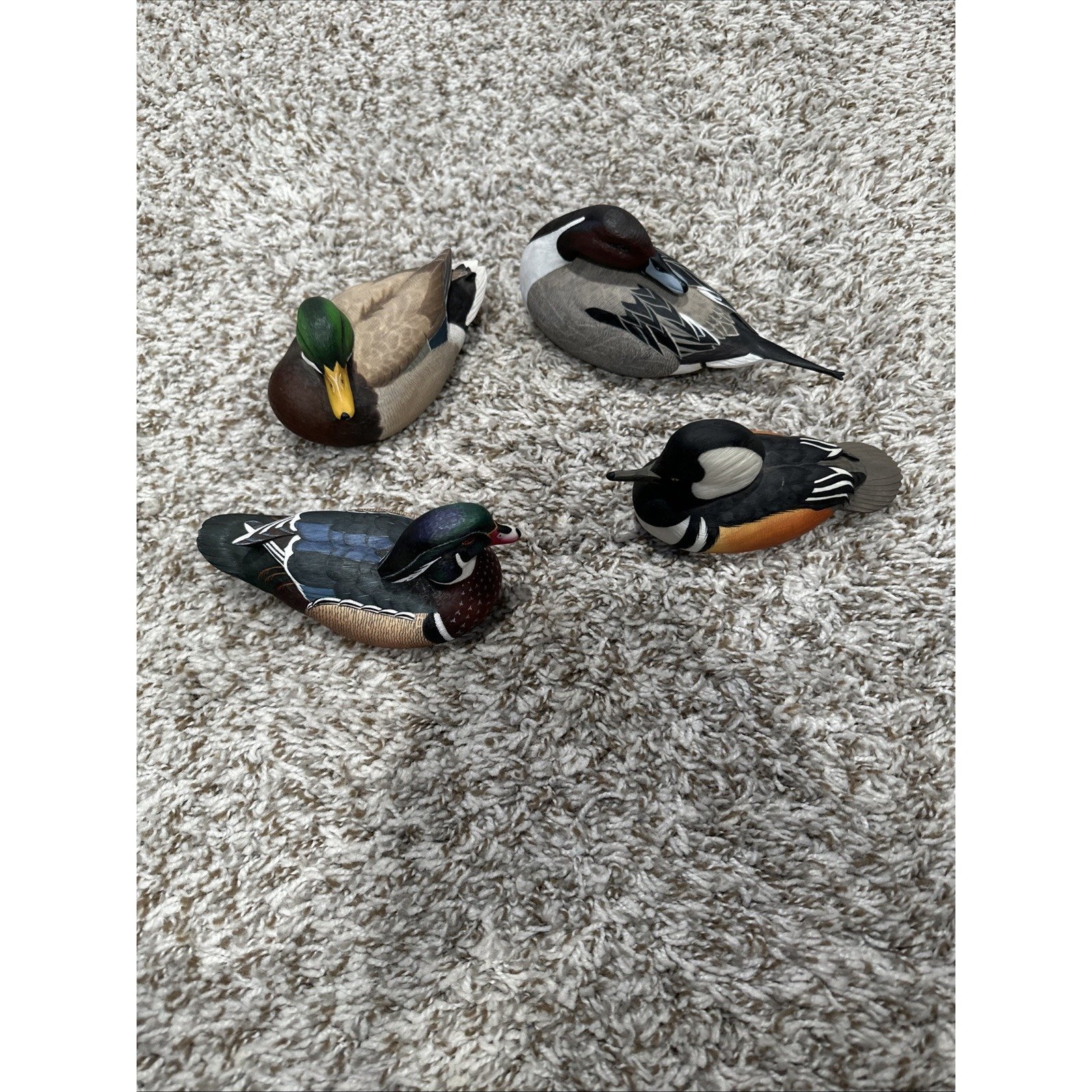 North American Ducks By George Kruth 4 Wood Duck, Mallard Good Merganser Pintail