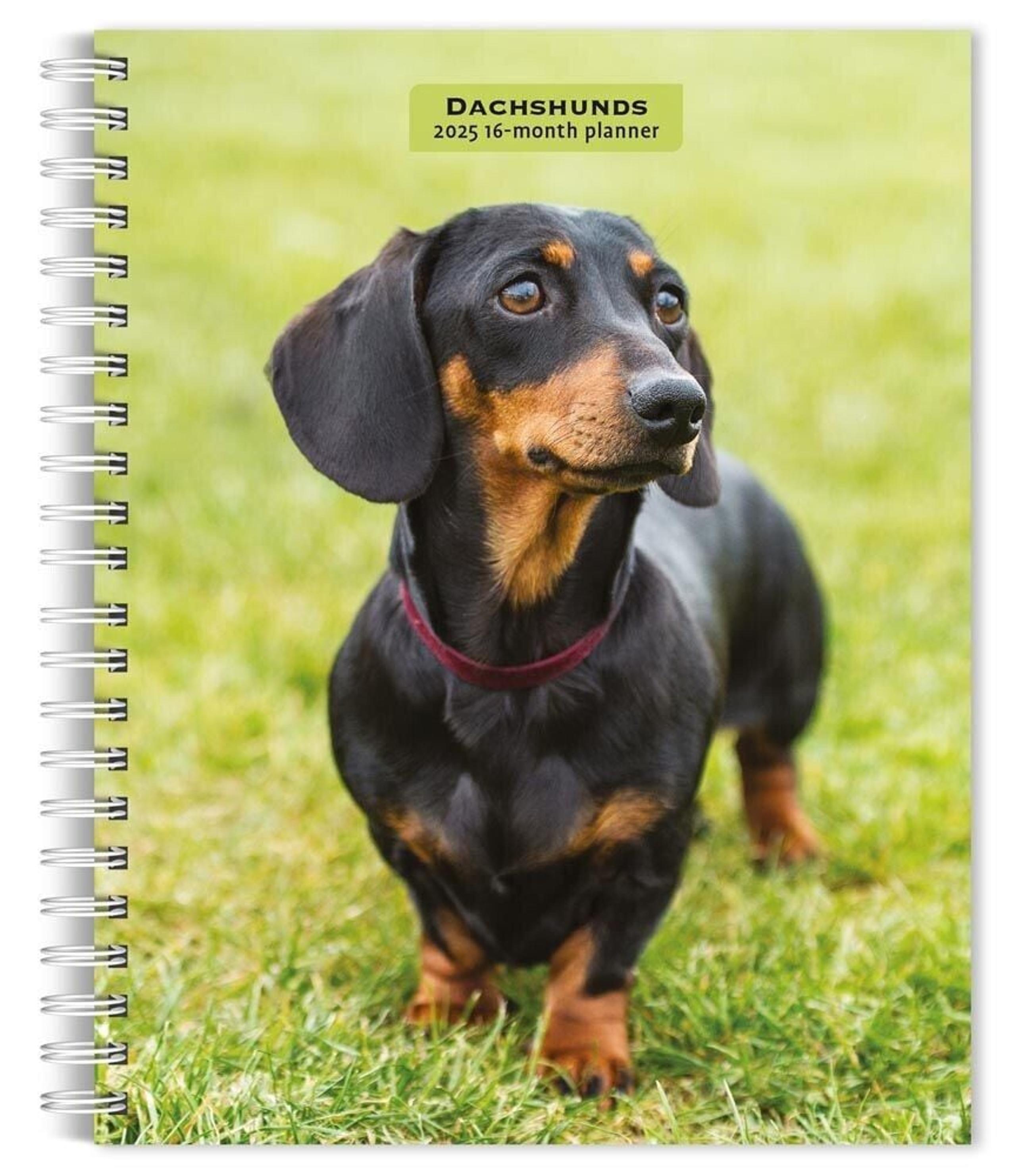 BrownTrout, Dachshunds 2025 Engagement Planner - Brown Trout