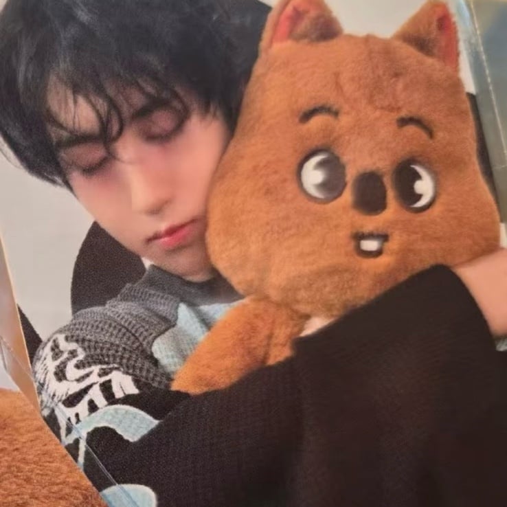 straykids dominate celebrate popup iron box han photocard