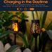 6 packs Solar pathway tiki torch tulip light