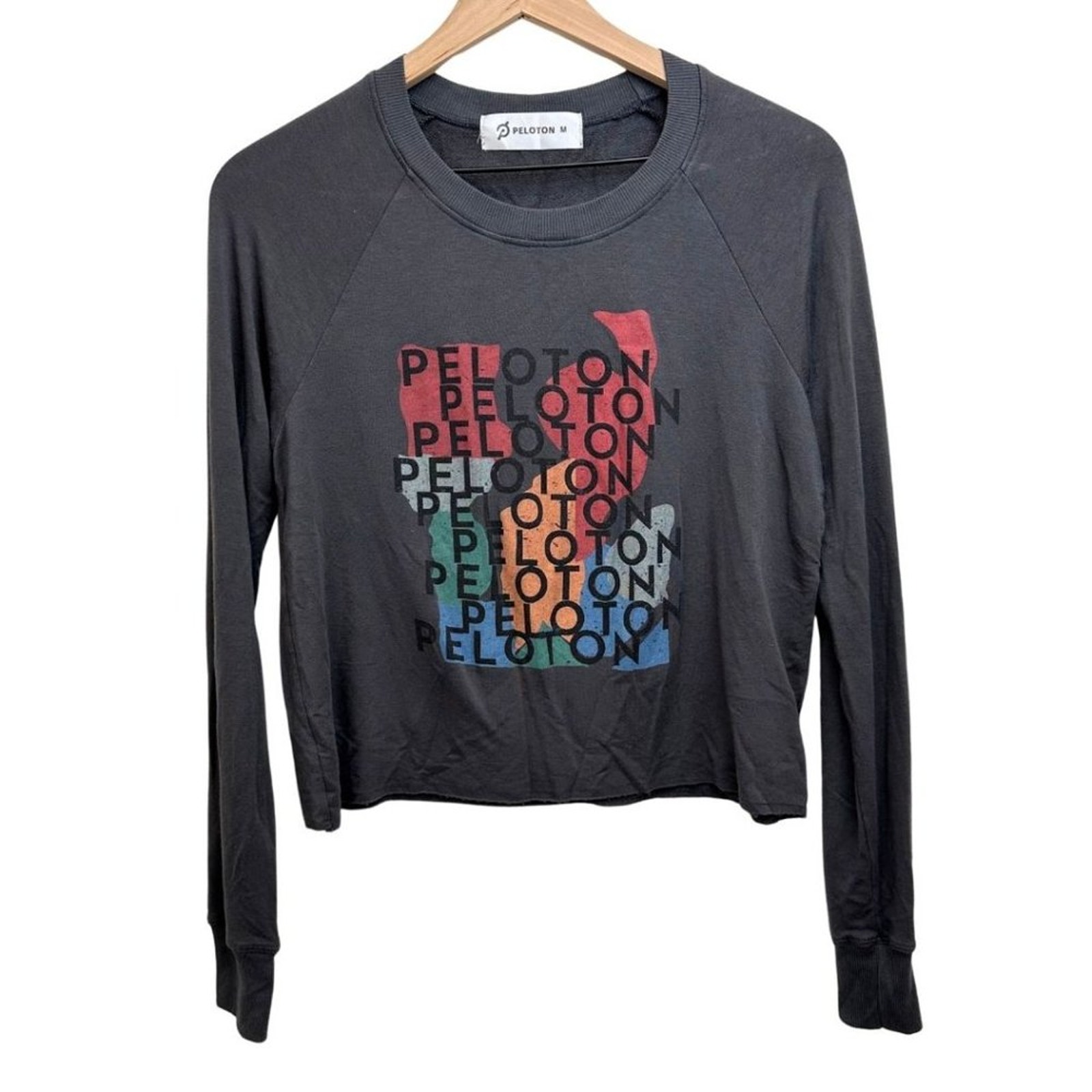 Peloton Long Sleeve T shirt with Front Long Graphic Gray M