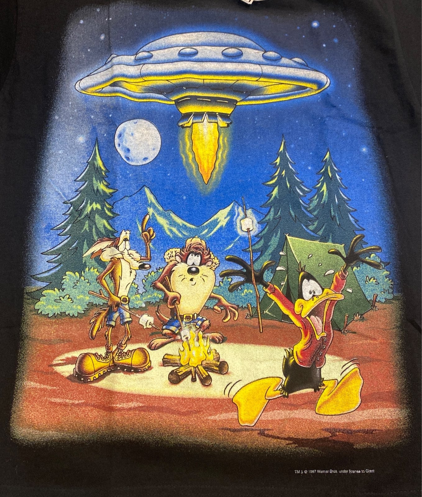 Vintage 311 