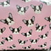 French Bulldog / Frenchie 15Pc Set
