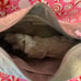 NWT-Urban Expressions STUNNING Bone Suede Faux-Leather Woven Hobo Bag