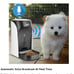WOpet Pet Feeder Auto Dog Cat Feeder Stainless Steel Bowl,Voice Recording,Timer