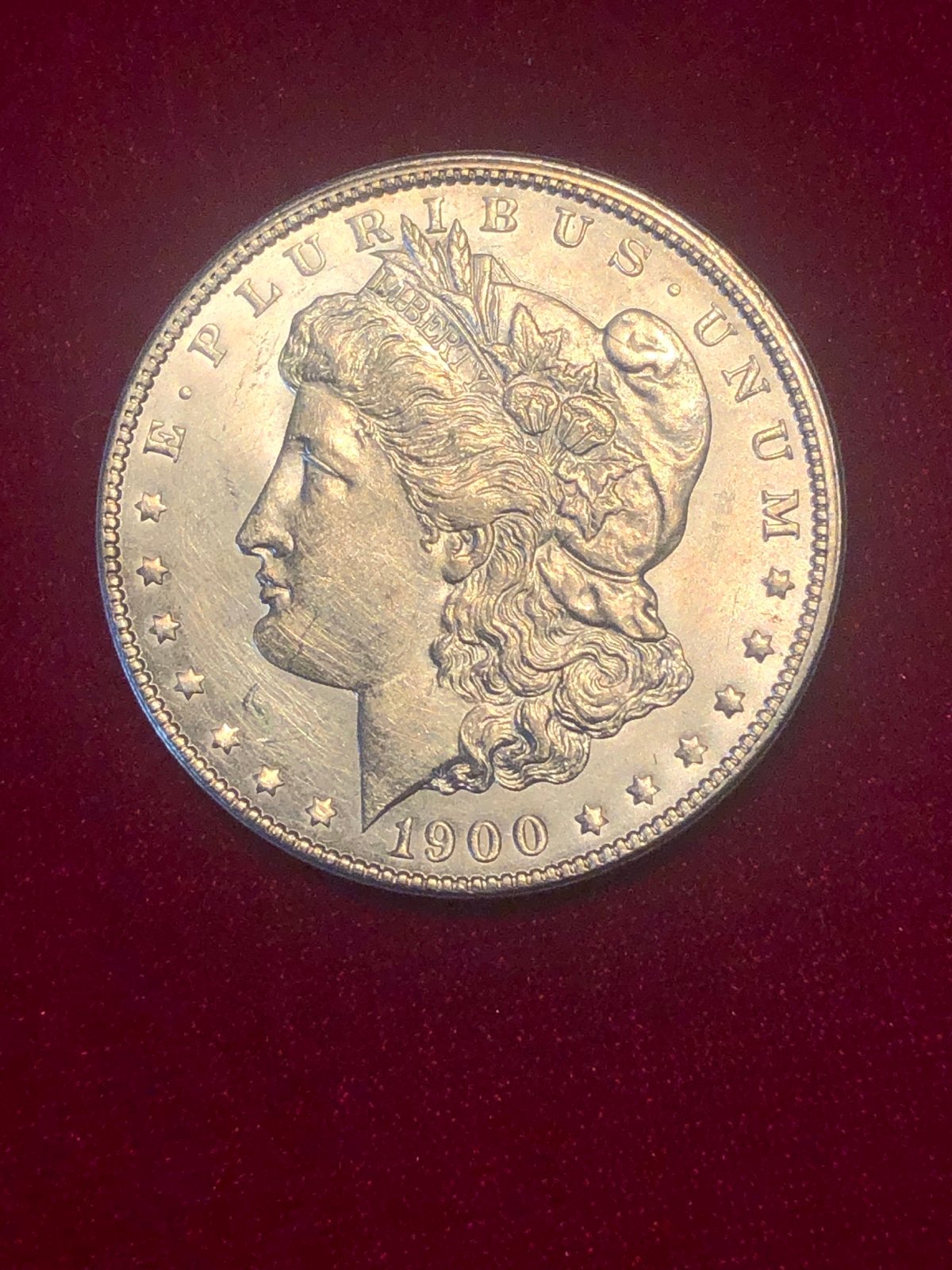 Morgan Silver Dollar 1900
