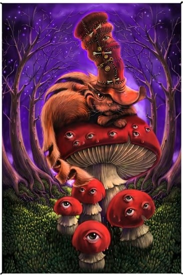 Cheshire Cat Heady Art Print Tapestry ~ 30 x 45 ~ w/Corner Loops ~ Brand New!