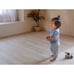 PlanToys Push and Pull Puppy