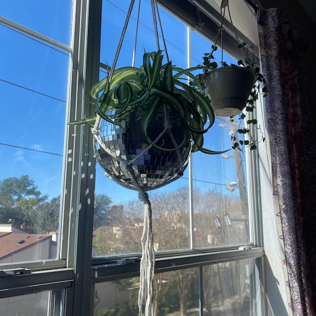 Ball POTS - indoor or outdoor plants