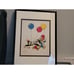 Walter Lantz Woody Woodpecker Chilly, Andy Ltd.Ed. Serigraph Cel Party Pals COA