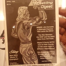 Pro Wrestling Digest April 1989 Sting