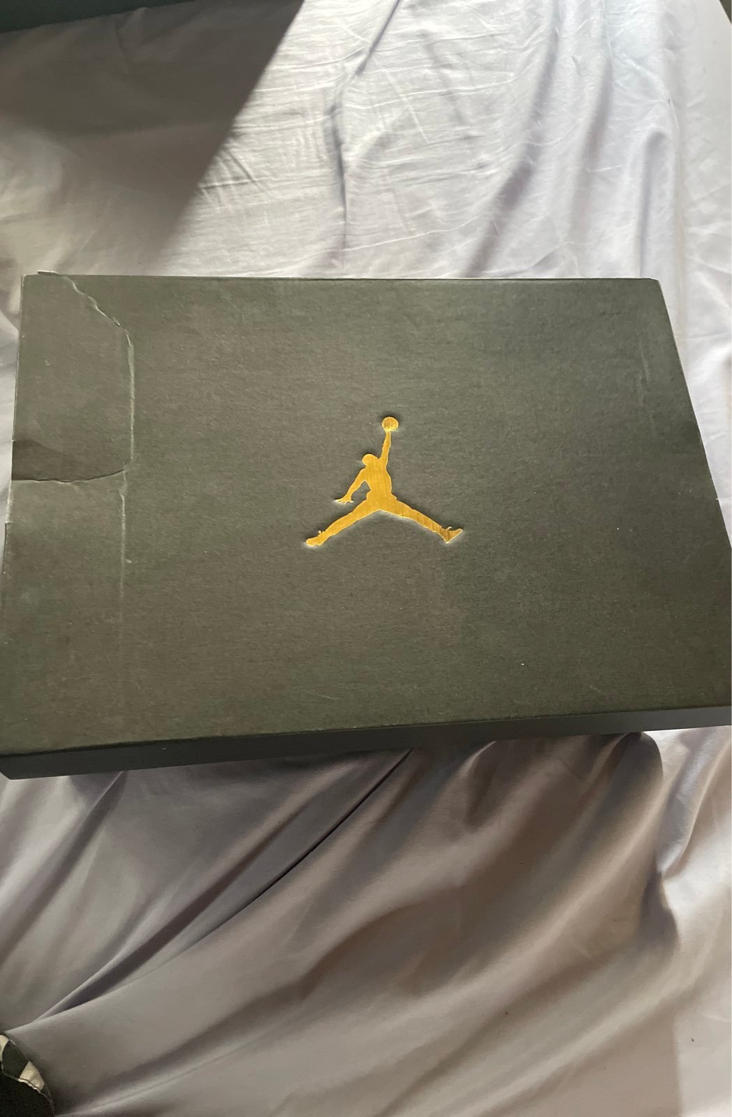 Nike Air Jordan 1 Mid Shoes