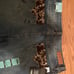 Rock&roll jeans