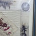 Vintage Framed Silk BULL FIGHTING MATADOR Silk SCARF Pink Gray 22”x 22”