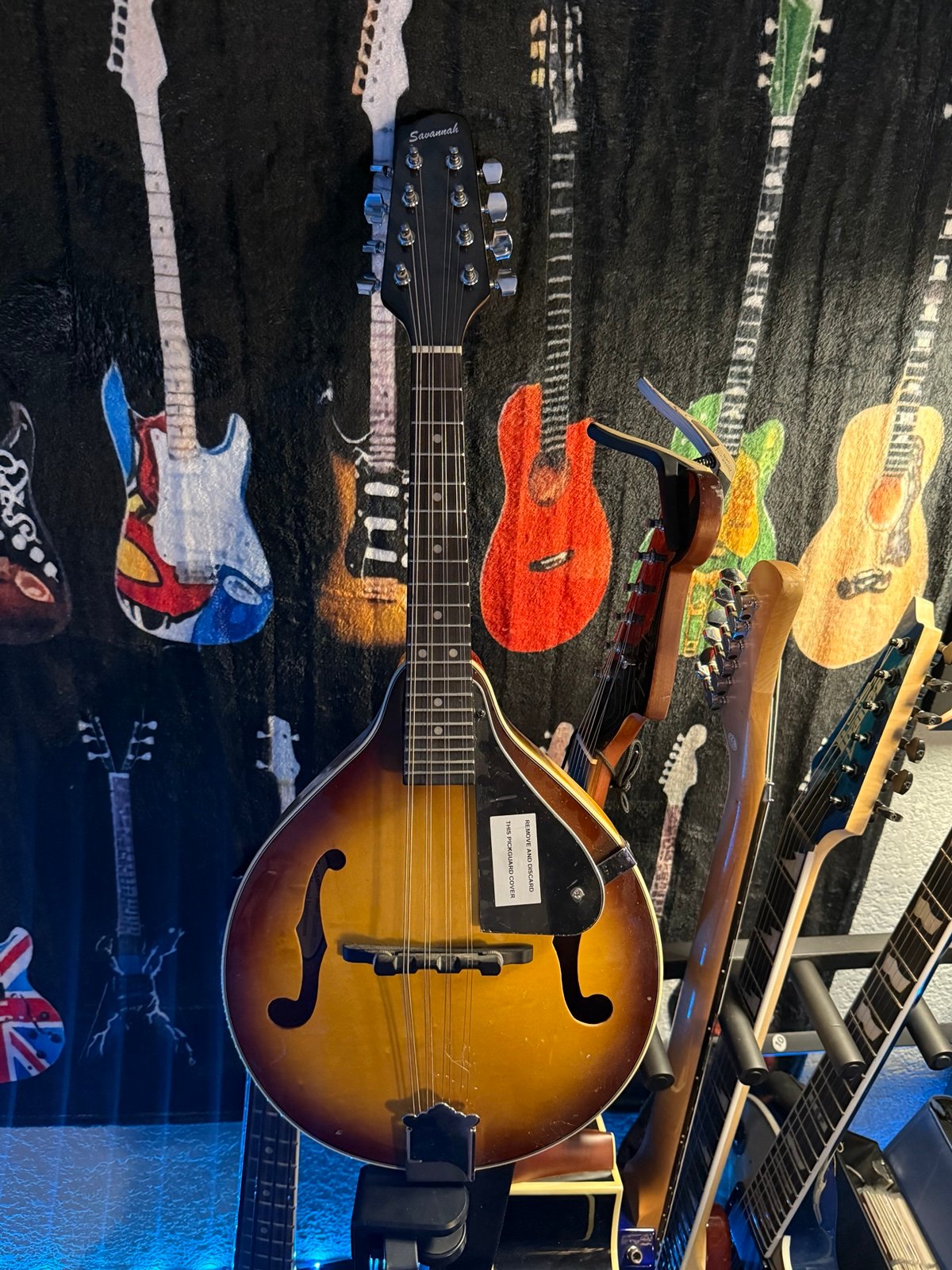Mandolin