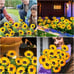 3 Pack 9 Sunflower Waterproof Solar Outdoor auto on off Lights