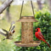 SWEETFULL Solar Bird Feeder for Outdoors Hanging, Metal Wild Bird Feeder