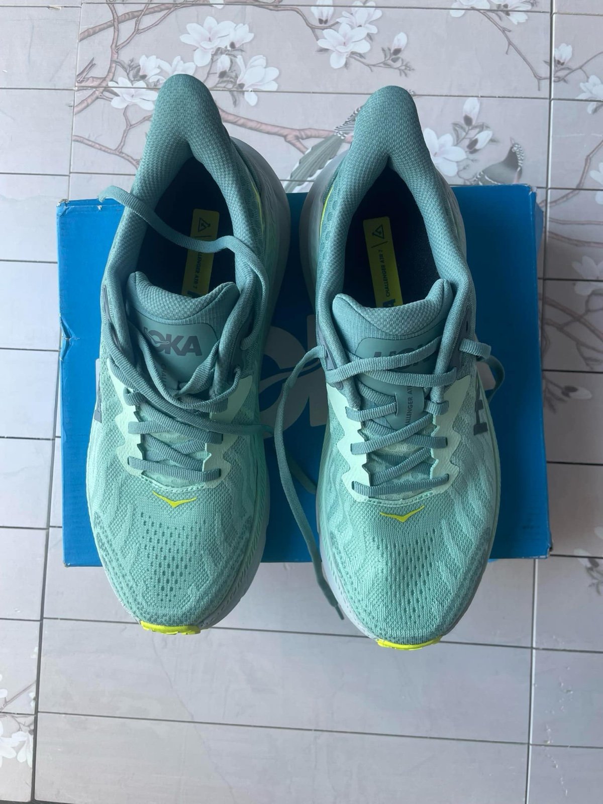Hoka shoes