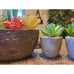 SPEPLA Succulents Plants Artificial 4 Pack, Mini Fake Succulents in Pots