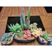 SPEPLA Succulents Plants Artificial 4 Pack, Mini Fake Succulents in Pots