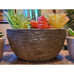 SPEPLA Succulents Plants Artificial 4 Pack, Mini Fake Succulents in Pots