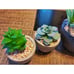 SPEPLA Succulents Plants Artificial 4 Pack, Mini Fake Succulents in Pots