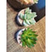 SPEPLA Succulents Plants Artificial 4 Pack, Mini Fake Succulents in Pots