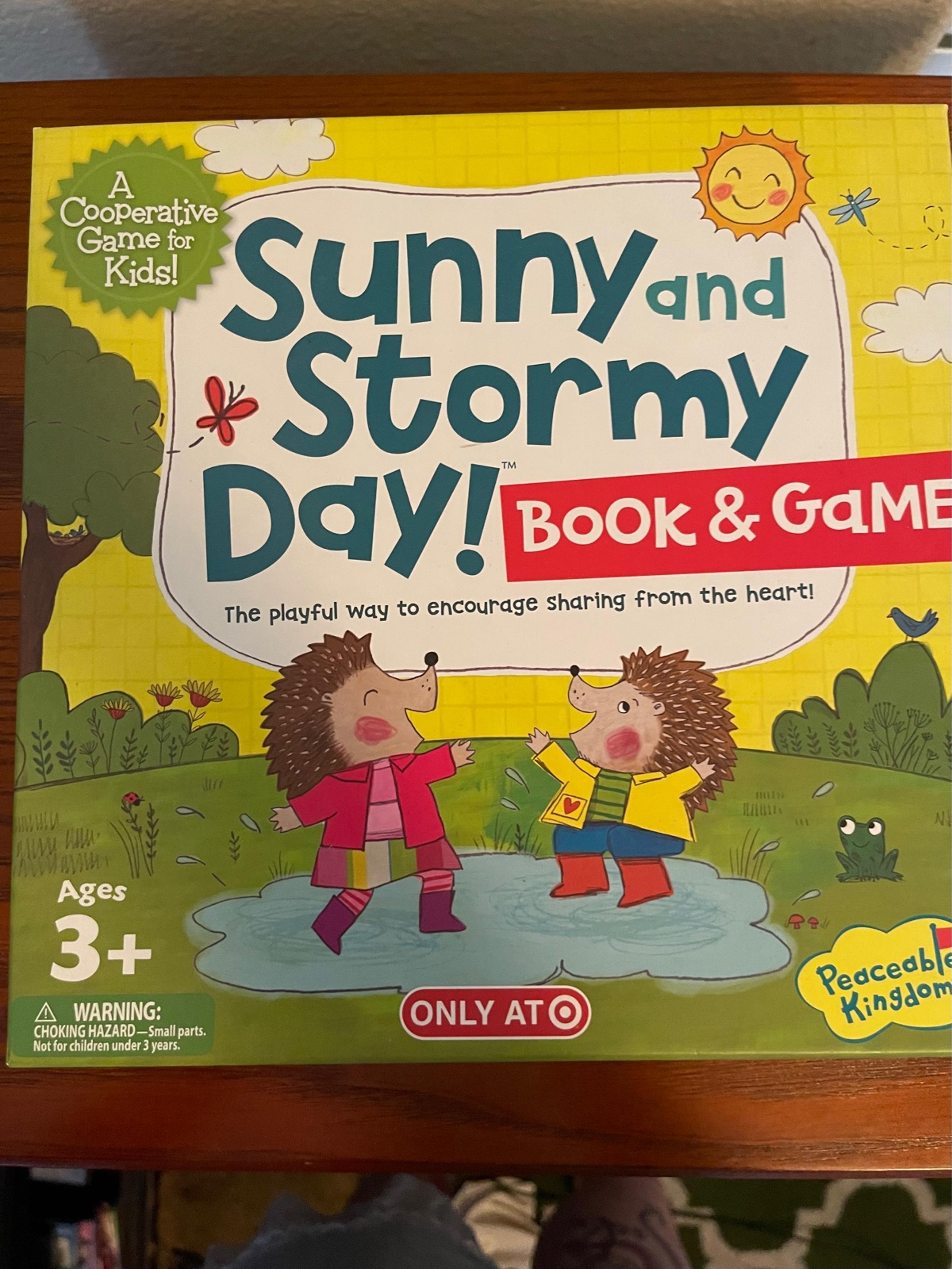 Sunny and Stormy Day Board Game
