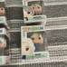 golden girls Funko pop
